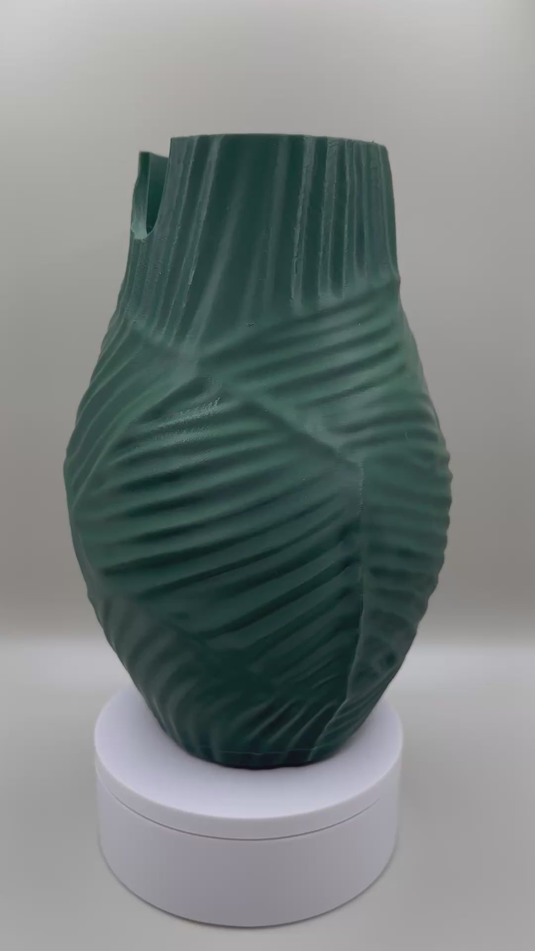 Artistic twisted vase